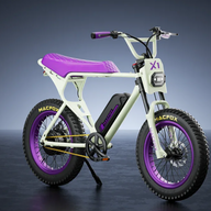 Macfox E-bike X1S x Bs.zay