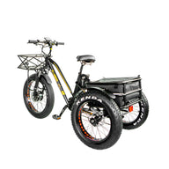BPM Imports T-950 Electric Fat Trike