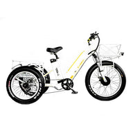 BPM Imports T-950 Electric Fat Trike