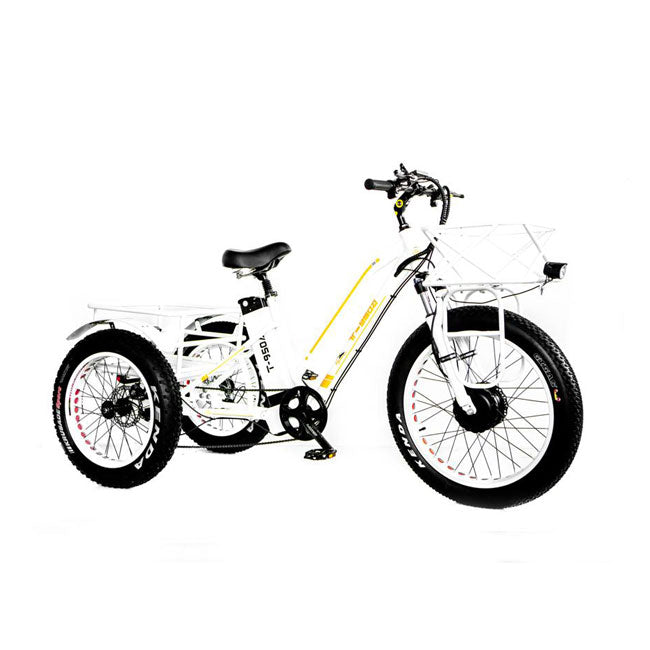 BPM Imports T-950 Electric Fat Trike